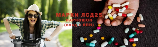 шишки Беломорск