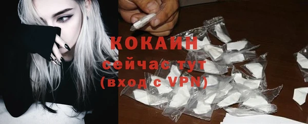 ешки Белокуриха