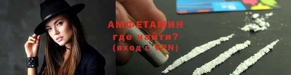 шишки Беломорск
