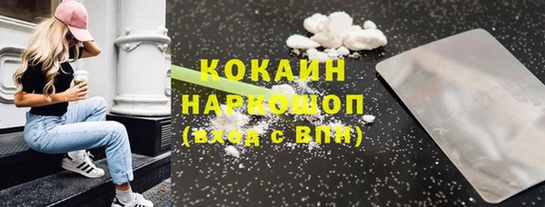 шишки Беломорск