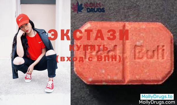 шишки Беломорск