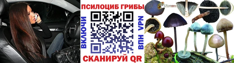 наркошоп  мега ССЫЛКА  Псилоцибиновые грибы Magic Shrooms  Мурманск 